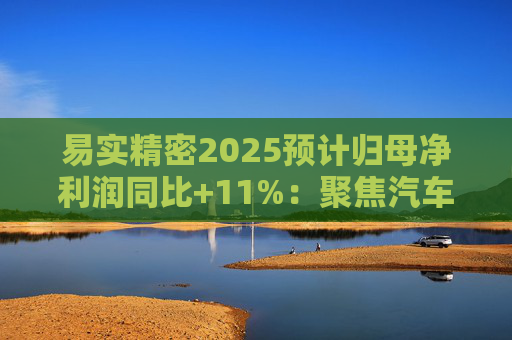易实精密2025预计归母净利润同比+11%：聚焦汽车精密金属零部件研发销售，设立+增资子公司推进海外布局