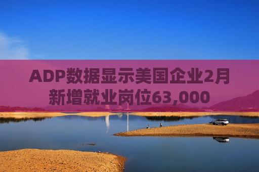 ADP数据显示美国企业2月新增就业岗位63,000  第1张