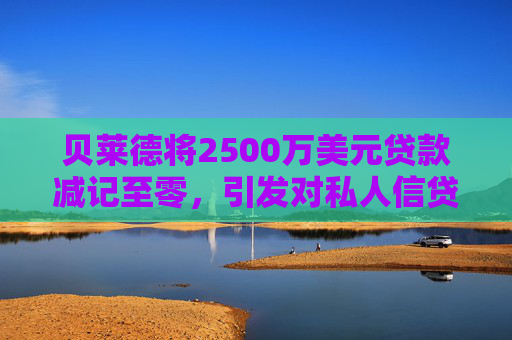贝莱德将2500万美元贷款减记至零，引发对私人信贷的担忧  第1张