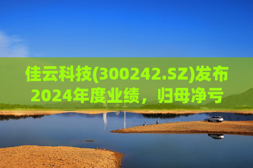 佳云科技(300242.SZ)发布2024年度业绩，归母净亏损1.06亿元，扩大10.93%