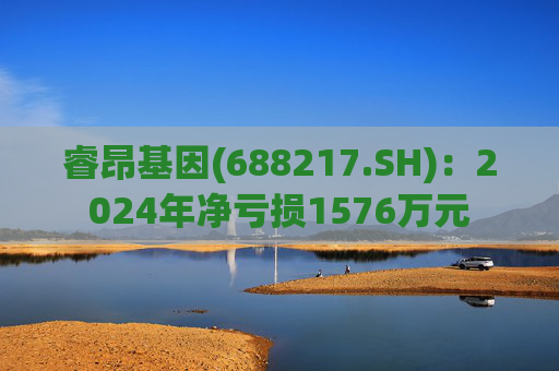 睿昂基因(688217.SH)：2024年净亏损1576万元  第1张