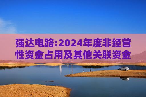 强达电路:2024年度非经营性资金占用及其他关联资金往来情况汇总表