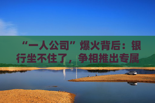 “一人公司”爆火背后：银行坐不住了，争相推出专属金融方案