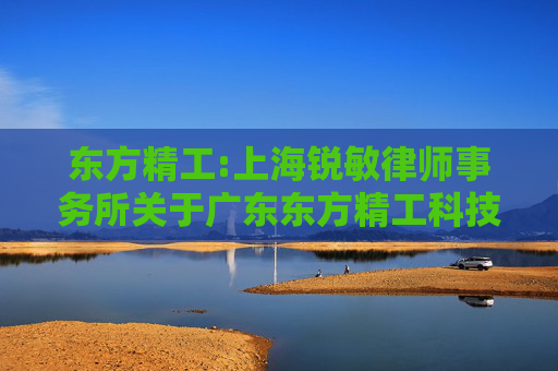 东方精工:上海锐敏律师事务所关于广东东方精工科技股份有限公司重大资产重组前业绩异常或本次重组存在拟置出资产情形之专项核查意见  第1张