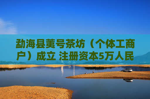 勐海县荑号茶坊（个体工商户）成立 注册资本5万人民币
