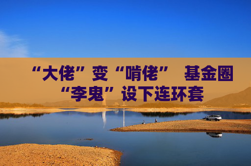 “大佬”变“啃佬”  基金圈“李鬼”设下连环套 第1张