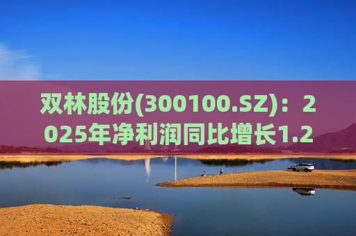 双林股份(300100.SZ)：2025年净利润同比增长1.25% 拟10股派1元