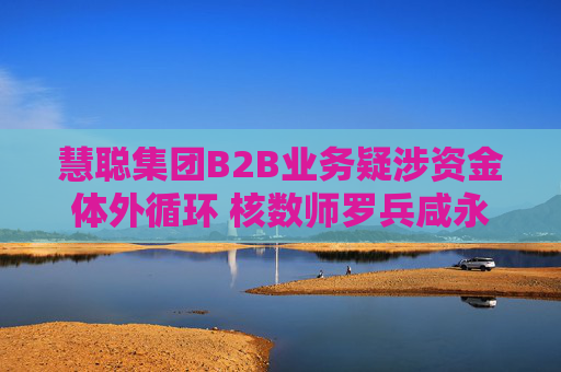 慧聪集团B2B业务疑涉资金体外循环 核数师罗兵咸永道被“赶走”