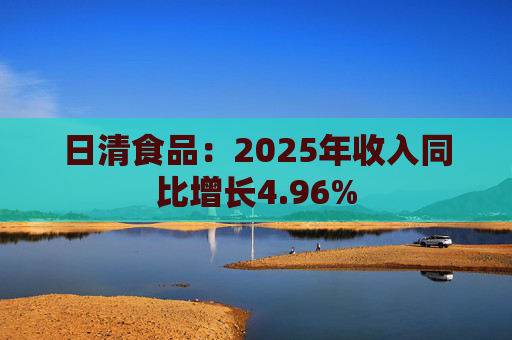 日清食品：2025年收入同比增长4.96%  第1张