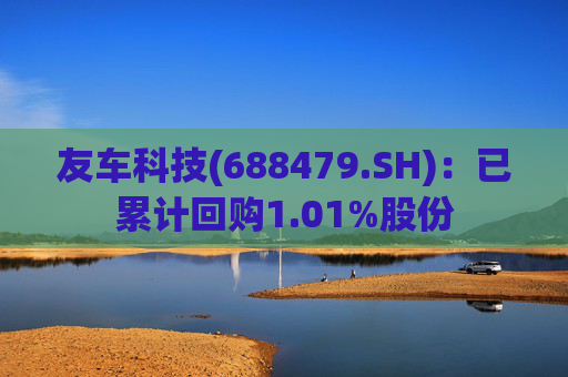 友车科技(688479.SH)：已累计回购1.01%股份