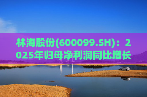 林海股份(600099.SH)：2025年归母净利润同比增长33.24%，每股拟派利0.045元