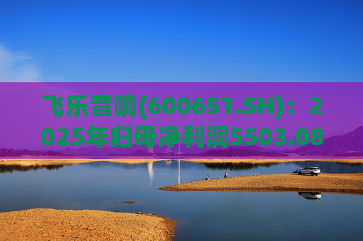 飞乐音响(600651.SH)：2025年归母净利润5503.08万元，同比增长39.41%