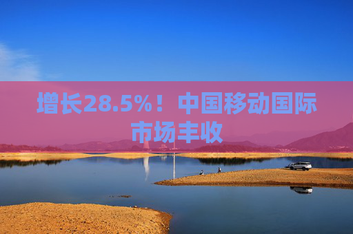 增长28.5%！中国移动国际市场丰收