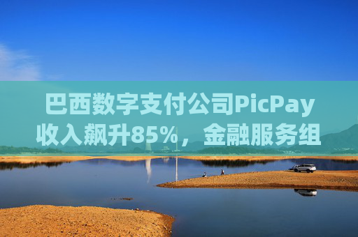 巴西数字支付公司PicPay收入飙升85%，金融服务组合持续扩大