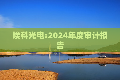 埃科光电:2024年度审计报告