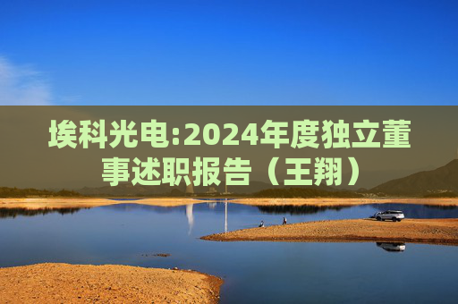 埃科光电:2024年度独立董事述职报告（王翔）