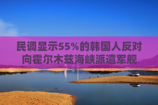 民调显示55%的韩国人反对向霍尔木兹海峡派遣军舰