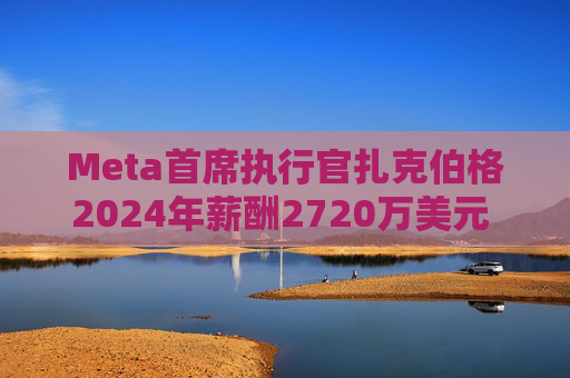 Meta首席执行官扎克伯格2024年薪酬2720万美元 高于上年的2440万美元