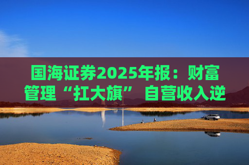 国海证券2025年报：财富管理“扛大旗” 自营收入逆势大降 投行收入占比仅2%