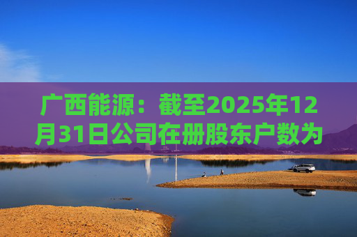 广西能源：截至2025年12月31日公司在册股东户数为53413户