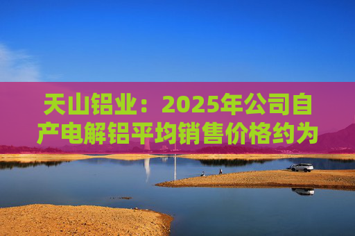 天山铝业：2025年公司自产电解铝平均销售价格约为20600元/吨