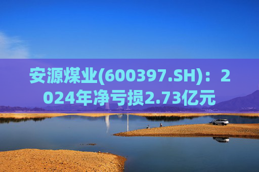 安源煤业(600397.SH)：2024年净亏损2.73亿元  第1张