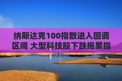 纳斯达克100指数进入回调区间 大型科技股下跌拖累指数走低11%  第1张