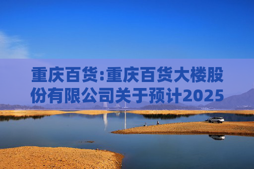 重庆百货:重庆百货大楼股份有限公司关于预计2025年日常关联交易的公告