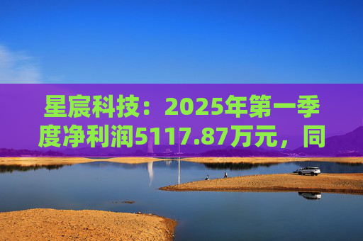 星宸科技：2025年第一季度净利润5117.87万元，同比增长0.48%  第1张