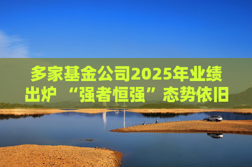 多家基金公司2025年业绩出炉 “强者恒强”态势依旧  第1张