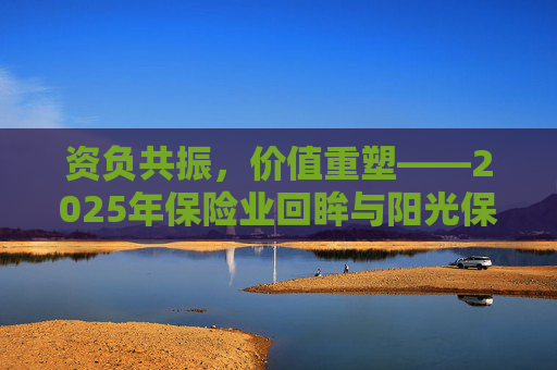 资负共振，价值重塑――2025年保险业回眸与阳光保险样本  第1张