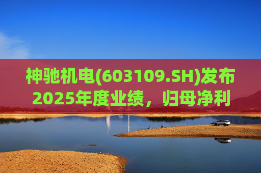 神驰机电(603109.SH)发布2025年度业绩，归母净利润1.34亿元，同比下降30.94%  第1张