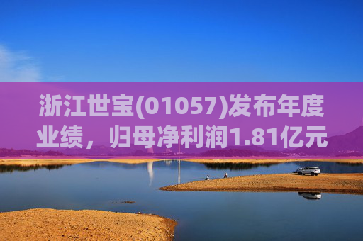 浙江世宝(01057)发布年度业绩，归母净利润1.81亿元 同比增加21.05%