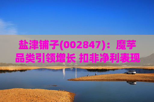 盐津铺子(002847)：魔芋品类引领增长 扣非净利表现亮眼  第1张