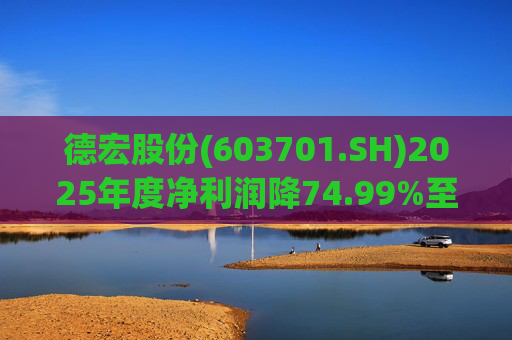 德宏股份(603701.SH)2025年度净利润降74.99%至1153.69万元