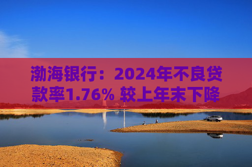 渤海银行：2024年不良贷款率1.76% 较上年末下降0.02个百分点  第1张