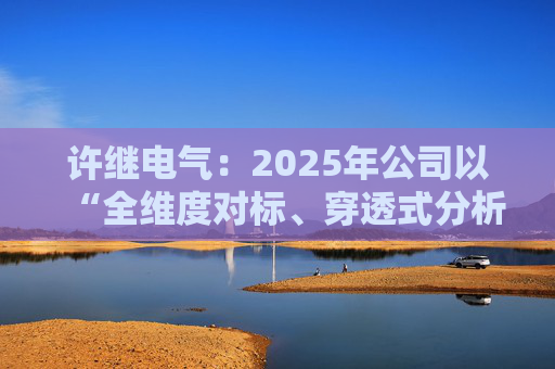 许继电气：2025年公司以“全维度对标、穿透式分析、动态化管控”为核心