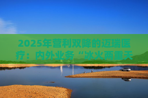 2025年营利双降的迈瑞医疗：内外业务“冰火两重天”