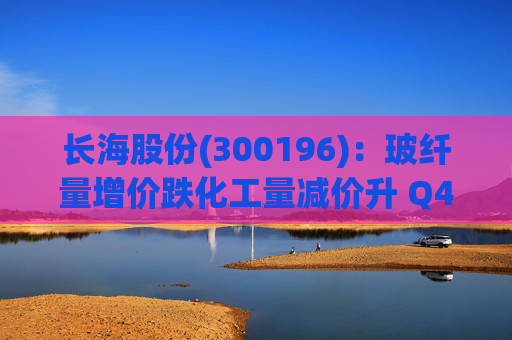 长海股份(300196)：玻纤量增价跌化工量减价升 Q4业绩同比显著修复