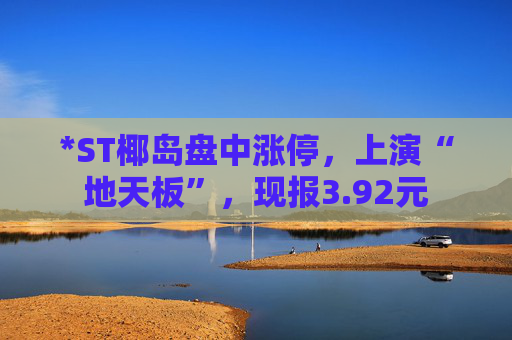 *ST椰岛盘中涨停，上演“地天板”，现报3.92元