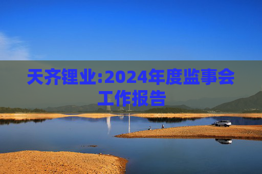天齐锂业:2024年度监事会工作报告  第1张