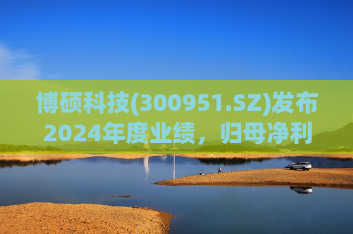 博硕科技(300951.SZ)发布2024年度业绩,归母净利润2.11亿元,同比下降17.35% 第1张 博硕科技(300951.SZ)发布2024年度业绩,归母净利润2.11亿元,同比下降17.35% 第1张
