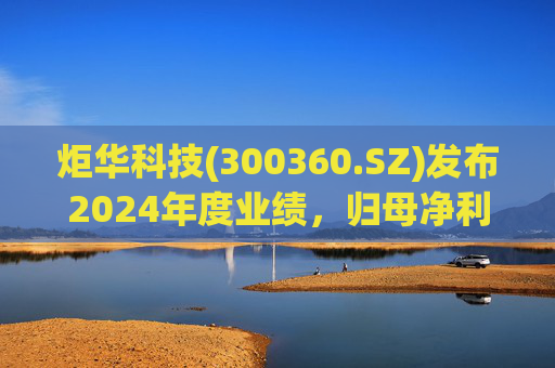 炬华科技(300360.SZ)发布2024年度业绩，归母净利润6.65亿元，同比增长9.45%  第1张