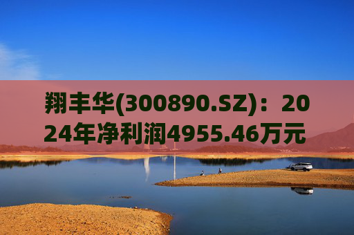 翔丰华(300890.SZ):2024年净利润4955.46万元 同比下降40.23%