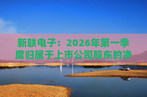 新联电子：2026年第一季度归属于上市公司股东的净利润是91152716.65元