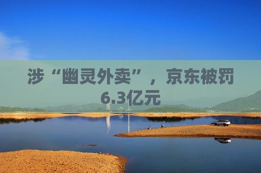 涉“幽灵外卖”，京东被罚6.3亿元  第1张
