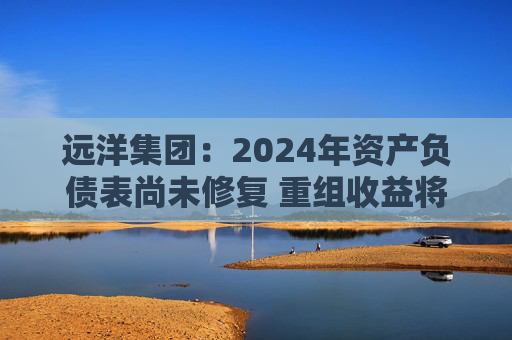 远洋集团：2024年资产负债表尚未修复 重组收益将于2025年释放