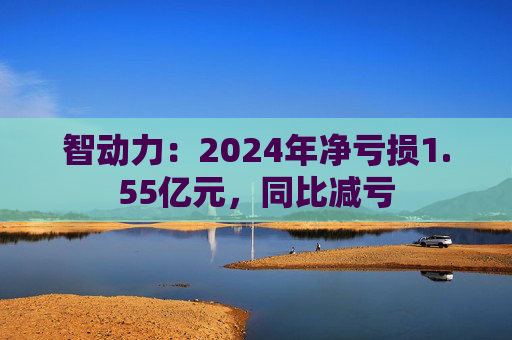 智动力：2024年净亏损1.55亿元，同比减亏  第1张
