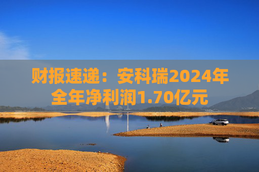 财报速递：安科瑞2024年全年净利润1.70亿元  第1张