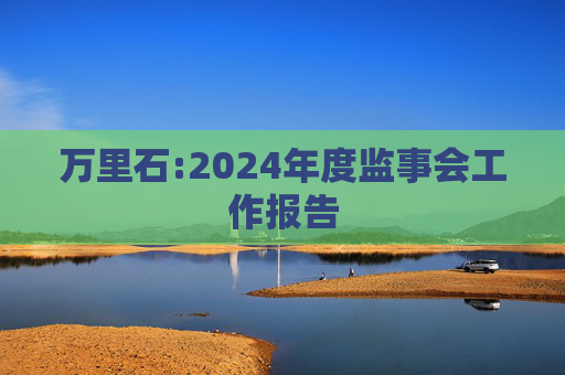 万里石:2024年度监事会工作报告
